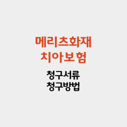 메리츠 치아보험