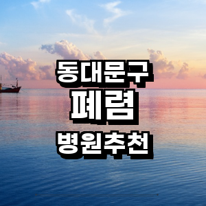 서울 동대문구 폐렴