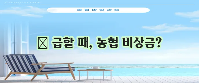 농협 비상금대출 긴급 시 대출 받는 법 꼭 알아두세요!