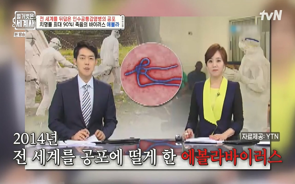 벌거벗은 세계사.E59.220810p-NEXT.mp4_20220810_204510.208.jpg