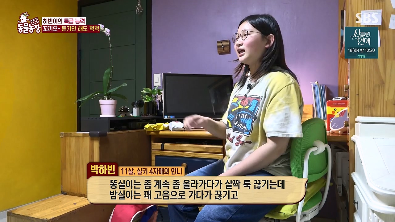 TV 동물농장.E1175.240610p-NEXT.mp4_20240609_160250.465.jpg