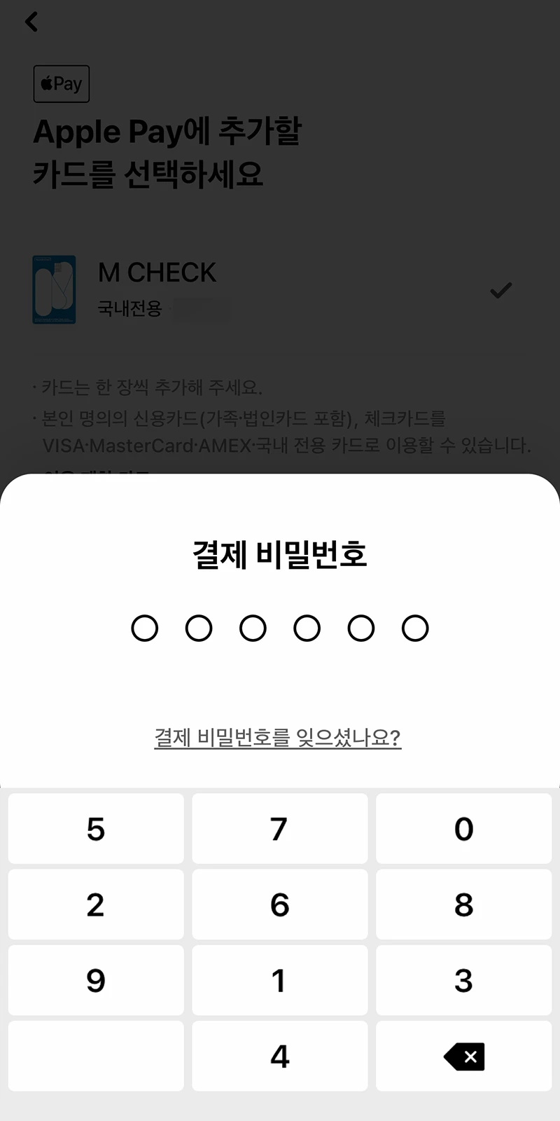 결제 비밀번호 입력 화면