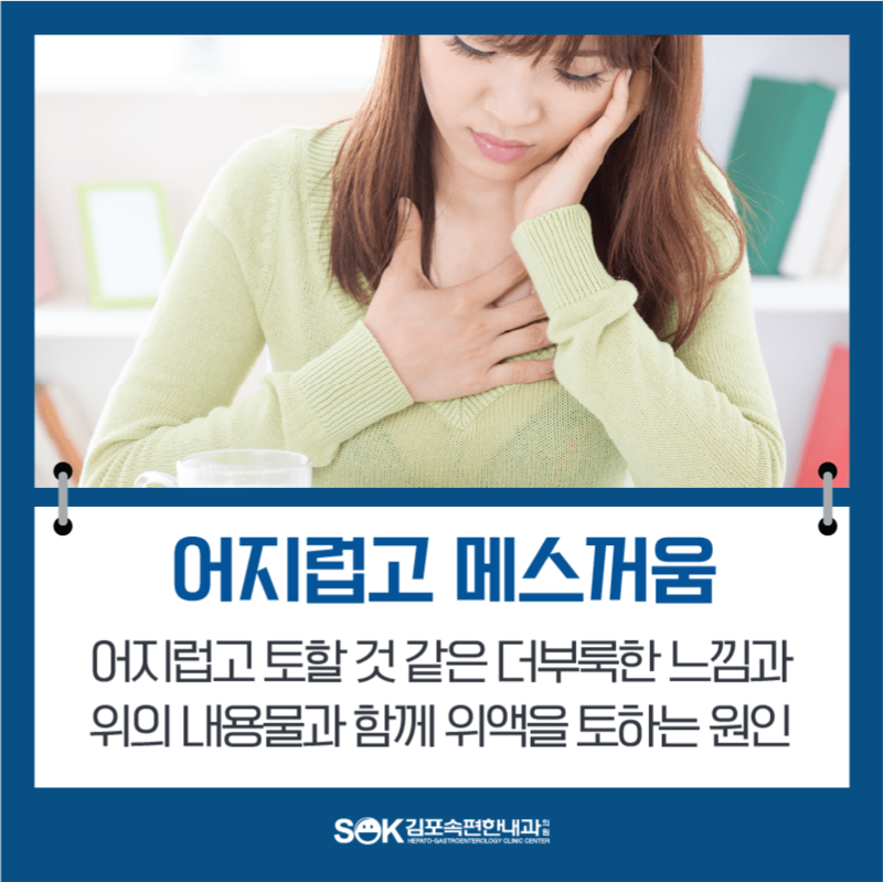 어지러움 메스꺼움 구토 호흡곤란 증상