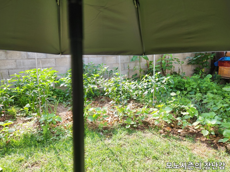 20230628_093124.jpg