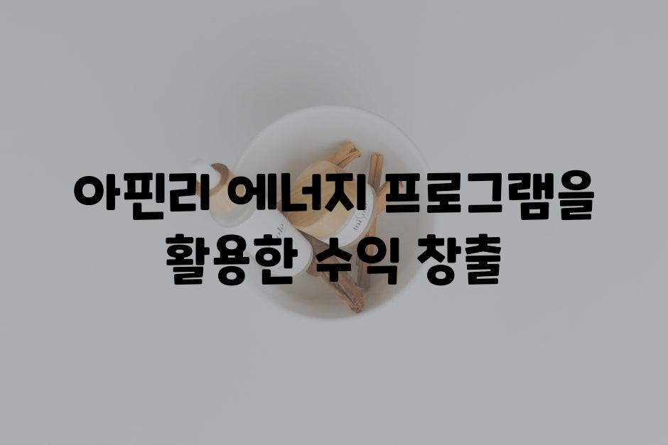 아핀리 에너지 프로그램을 활용한 수익 창출