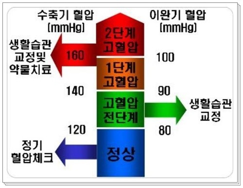 고혈압 동맥경화