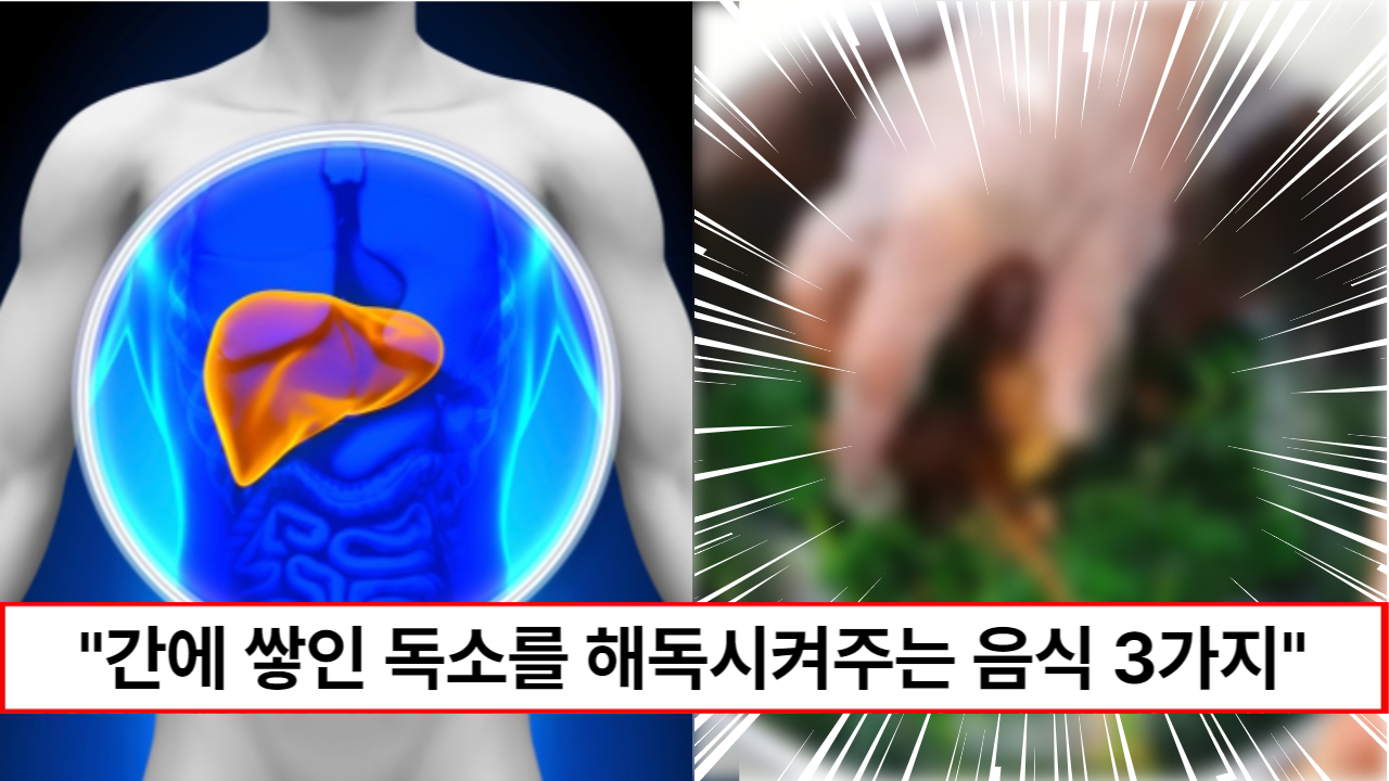 "간에 쌓인 독소가 깨끗하게 사라집니다"간 속 노폐물 제거와 해독에 좋은 음식 3가지와 먹는 방법