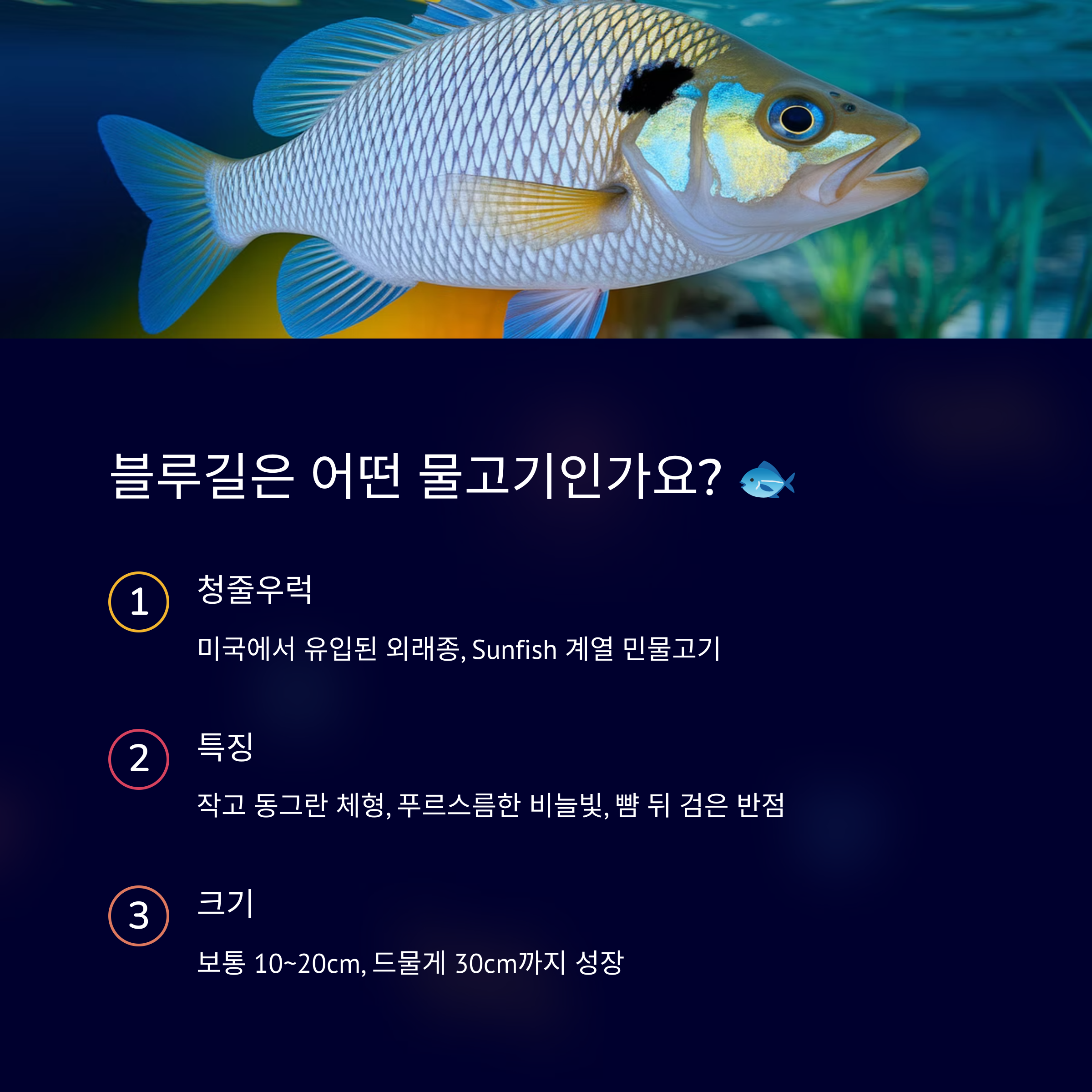 블루길은 어떤 물고기인가요?