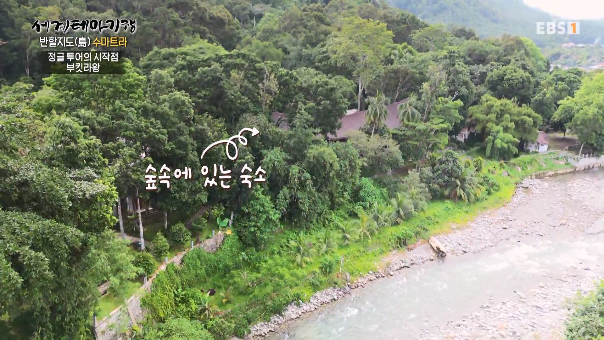 세계테마기행.230731.반할지도(島) 수마트라-1.북수마트라 제대로 즐기기.mp4_20230820_122424.310.jpg