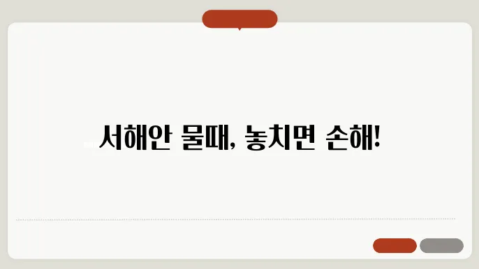 서해안 물때표