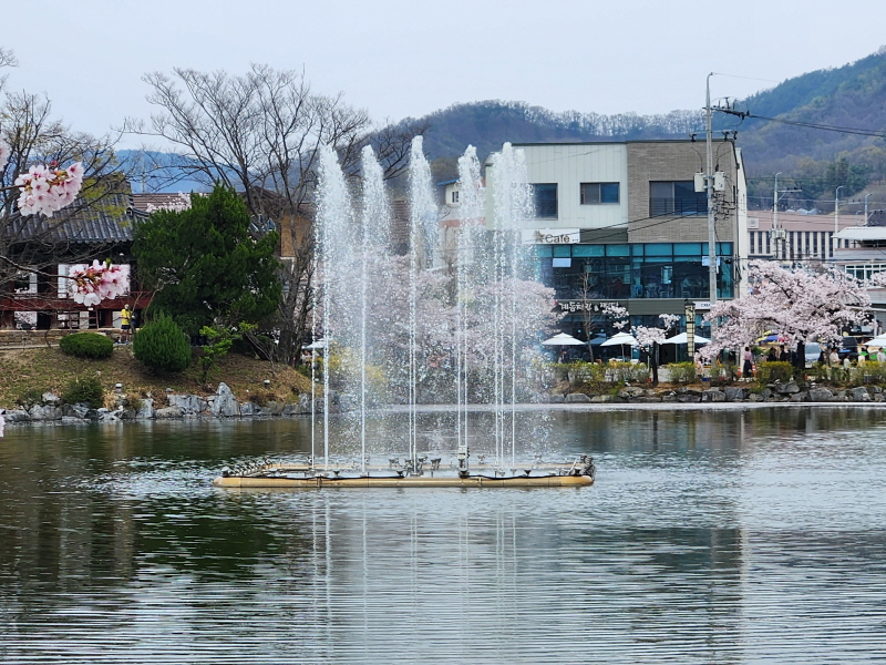 김천 연화지