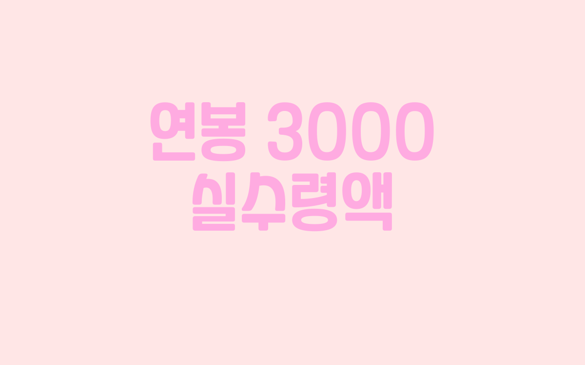  연봉 3000 실수령액은 한 달에 얼마나 될까?