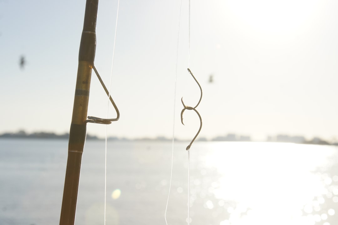 Fishing toy.