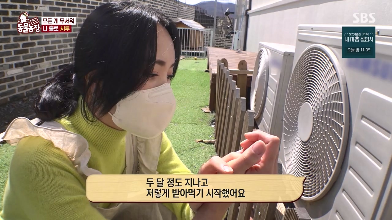 TV 동물농장.E1172.240520p-NEXT.mp4_20240519_165238.304.jpg