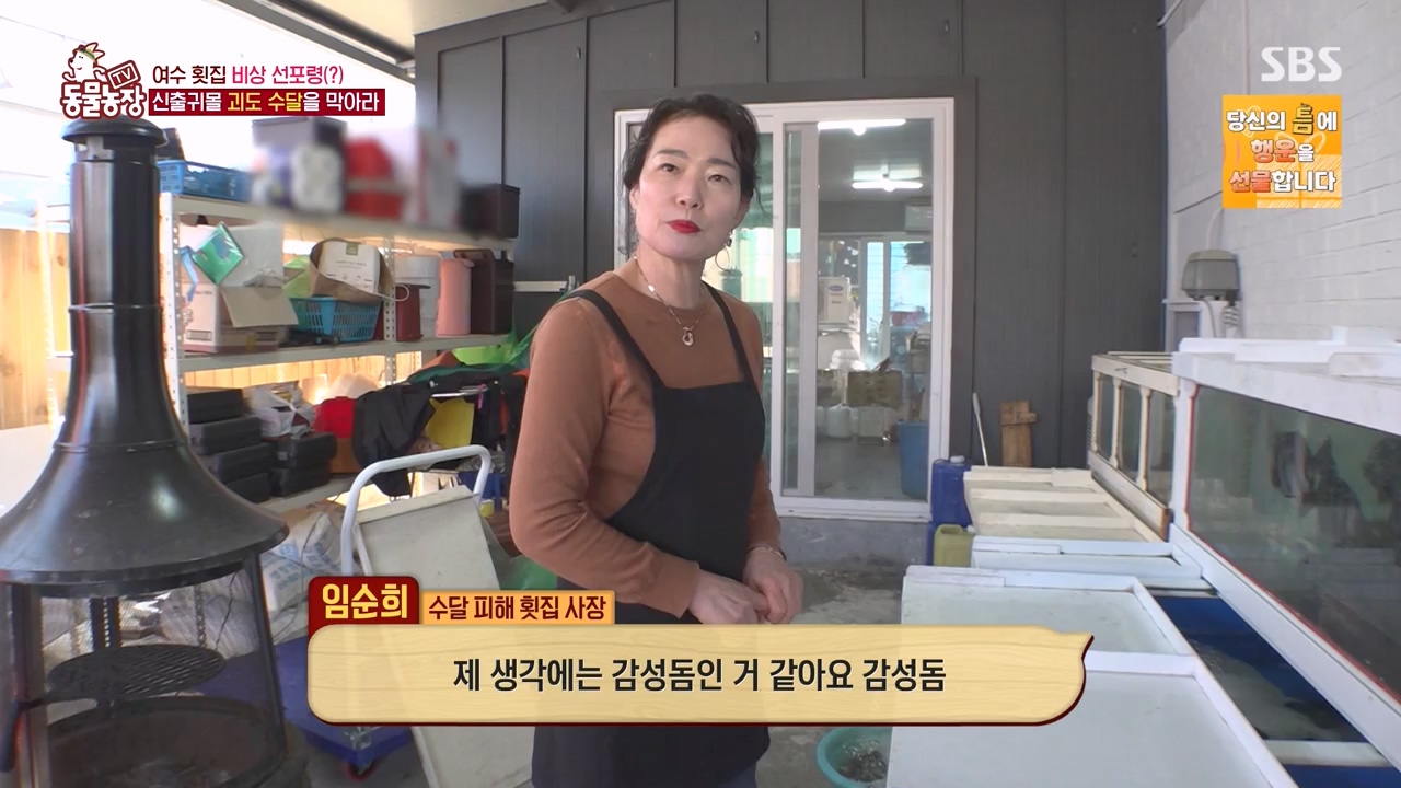 TV 동물농장.E1168.240422p-NEXT.mp4_20240421_170939.568.jpg