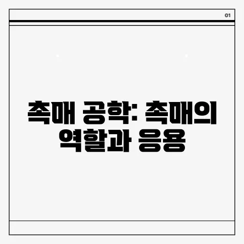 촉매 공학: 촉매의 역할과 응용