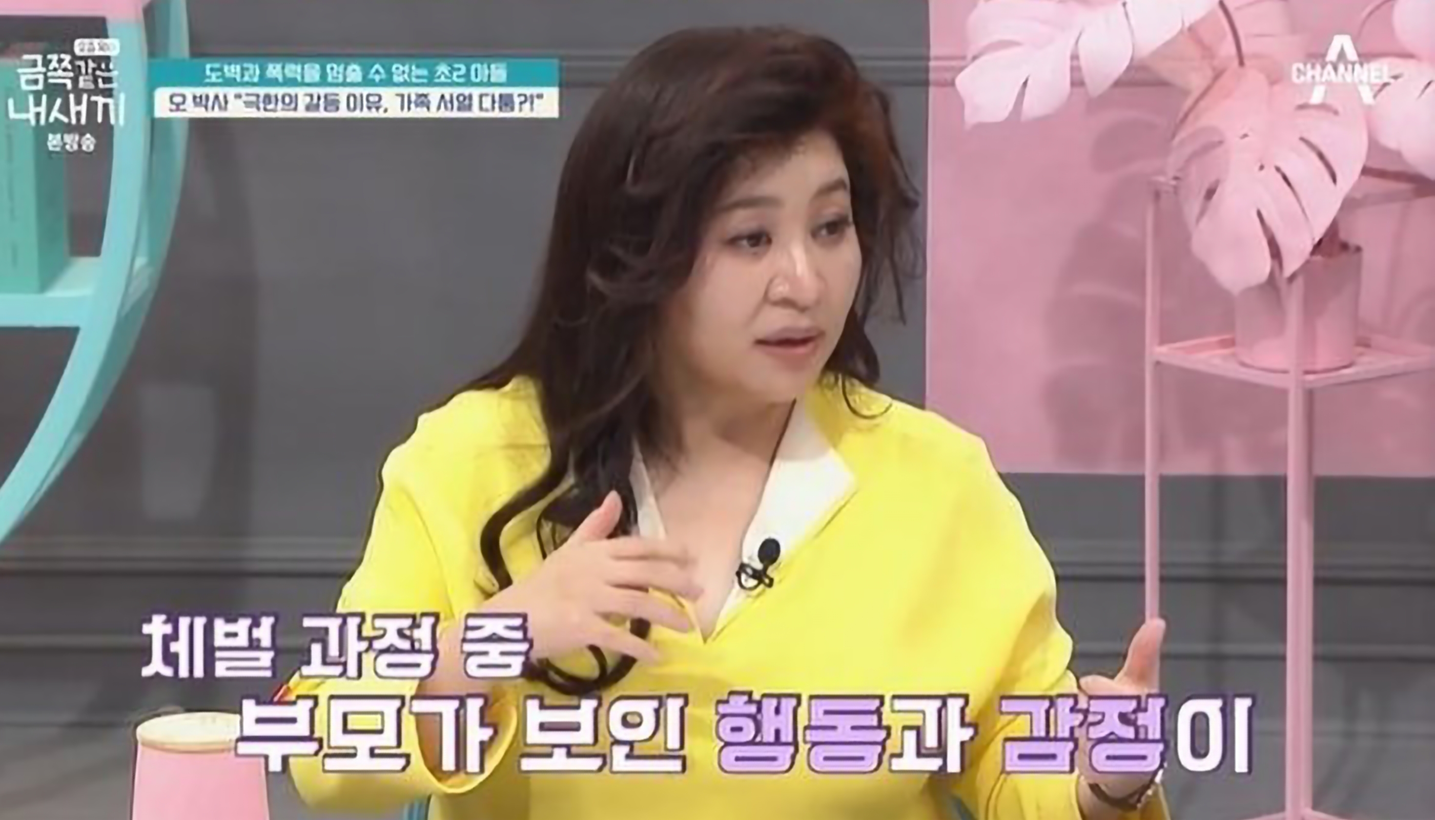 금쪽