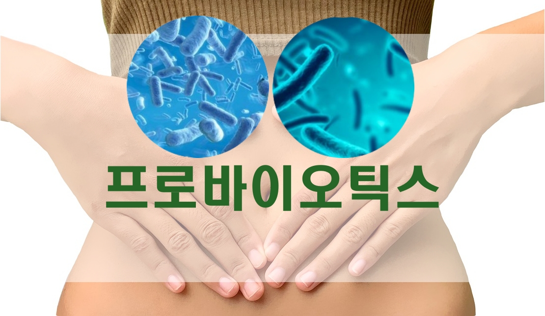  프로바이오틱스 - 유익균