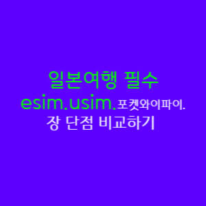  일본 여행 필수품  이심(Esim)과 유심(Usim) 포켓 와이파이 장단점 비교