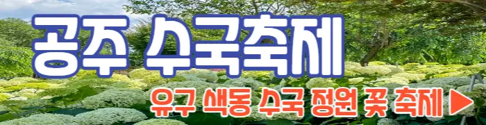 공주 수국축제, 유구 색동 수국 정원 꽃축제