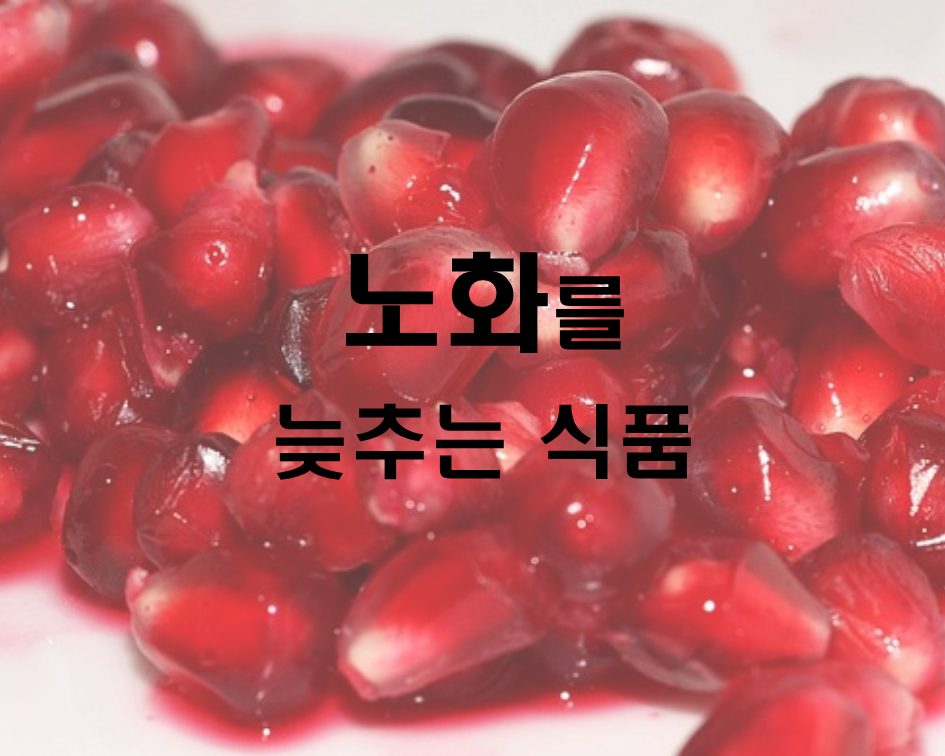  노화를 늦추는 최고의 식품
