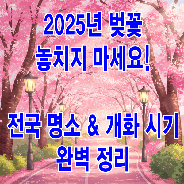 전국 명소 &amp; 개화 시기 완벽 정리