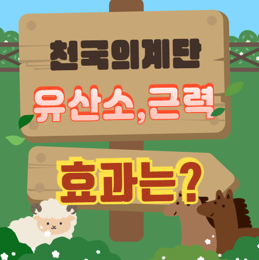 천국의 계단 다이어트, 근력과 유산소를 동시에 잡는 법