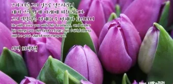 시편 91편 잠언 묵상 말씀_23