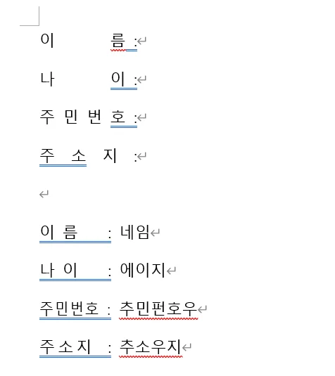 ms 워드에서 균등 분할 완료 모습