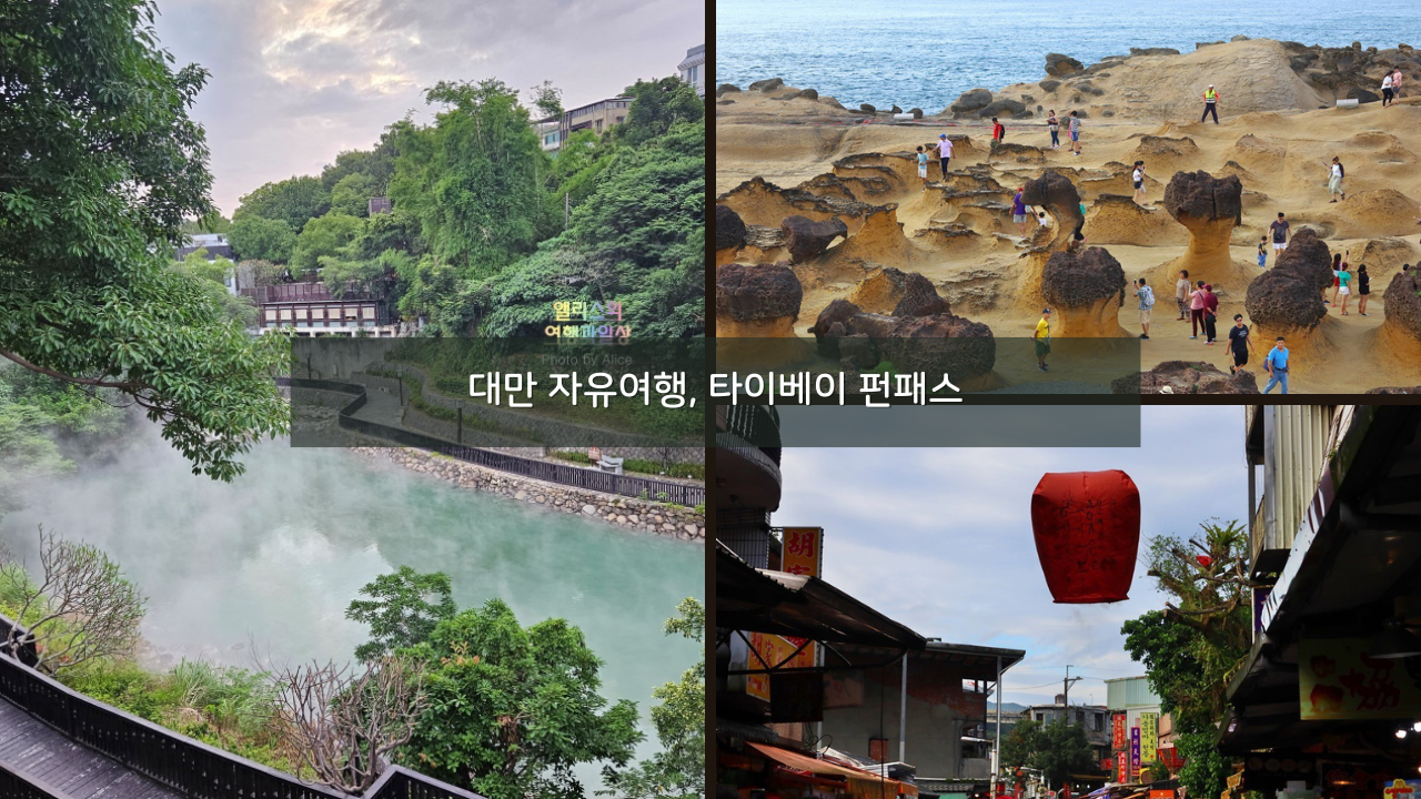 대만 자유여행&#44; 타이베이 펀패스 + 대만 여행 지원금 신청하기