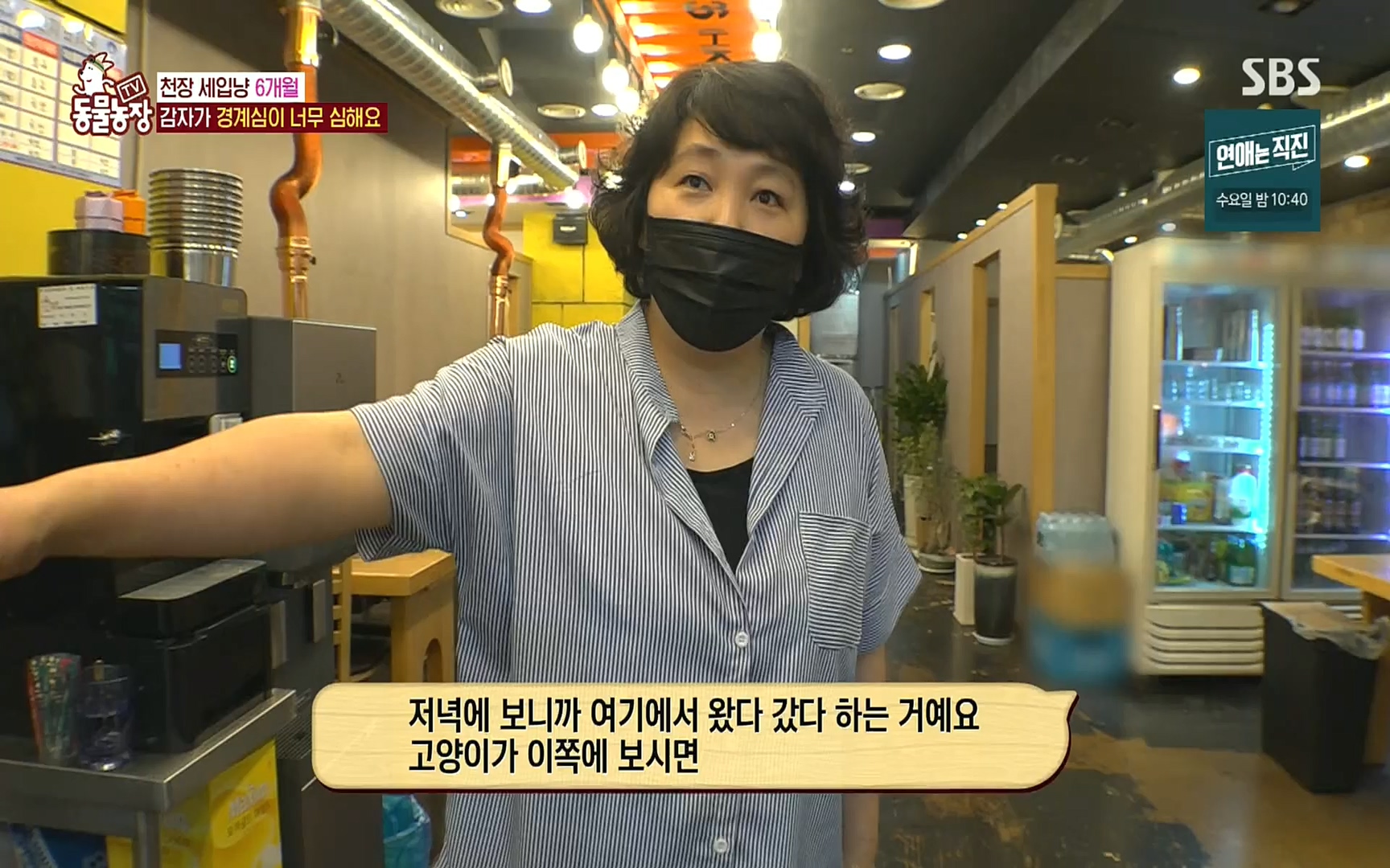 TV 동물농장.E1081.220807p.H264-F1RST.mp4_20220807_213622.496.jpg