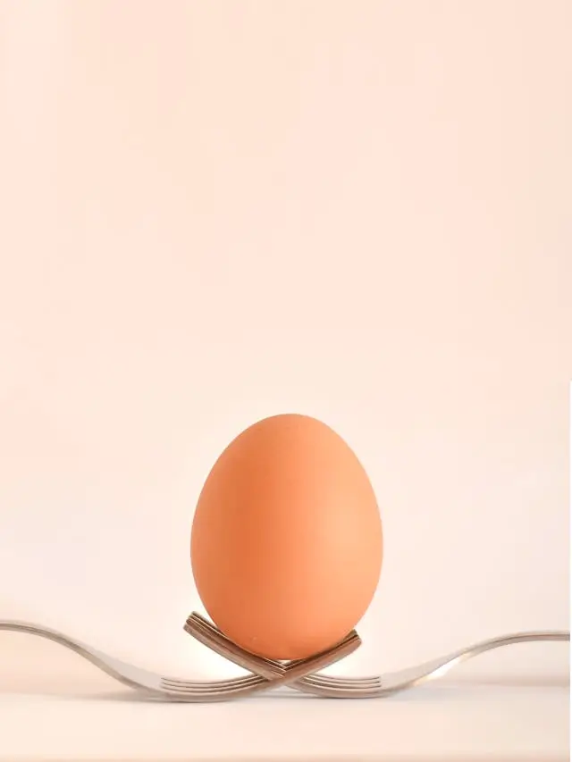 계란의 효능과 성분 효과 장단점 주의사항 달걀