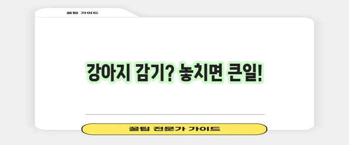 강아지 감기 증상 꼭 알아두고 건강 관리 힘쓰세요!