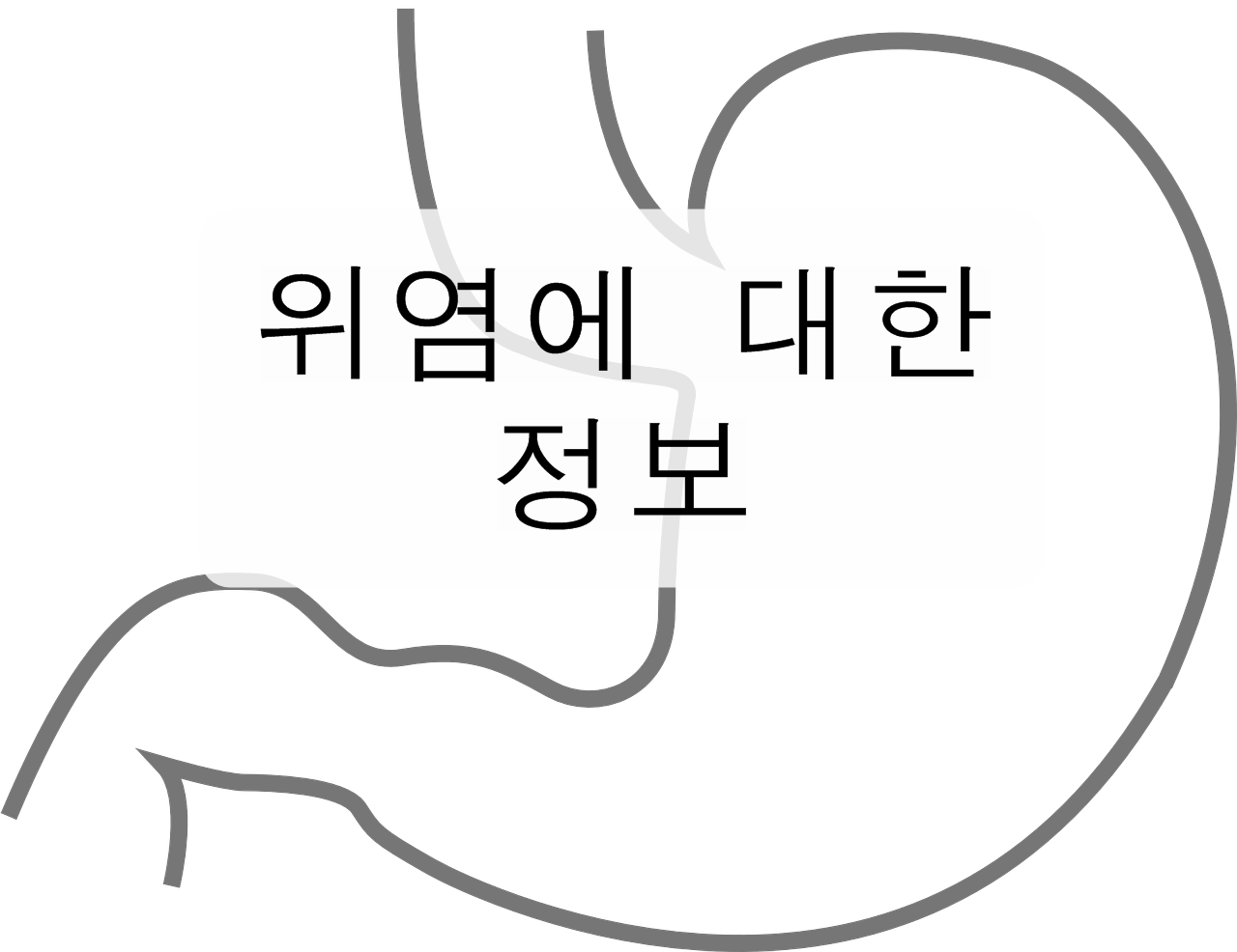  위염에 대해 알아보자!