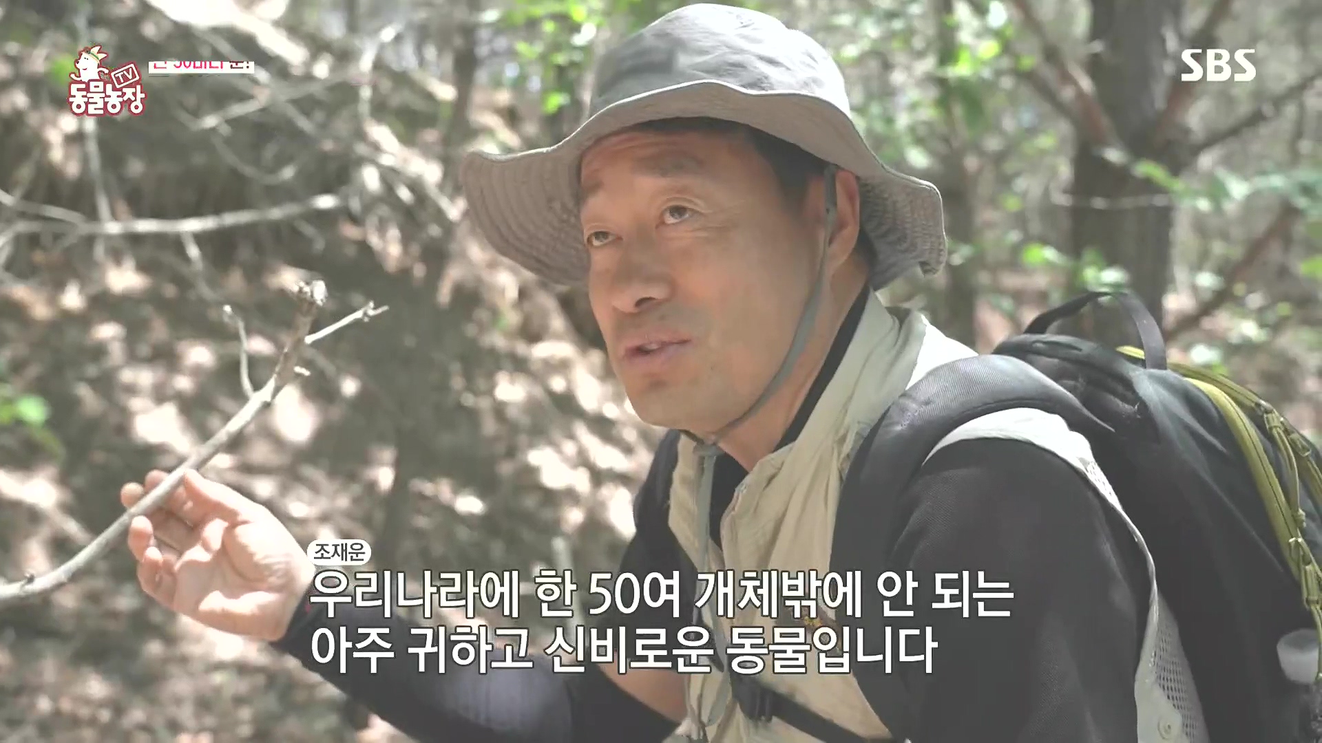 TV 동물농장.E1185.240818p.H264-F1RST.mp4_20240818_160946.716.jpg