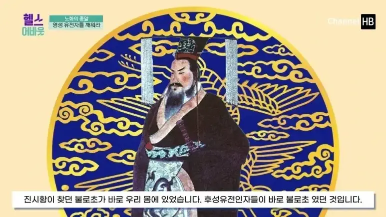 NMN 부작용