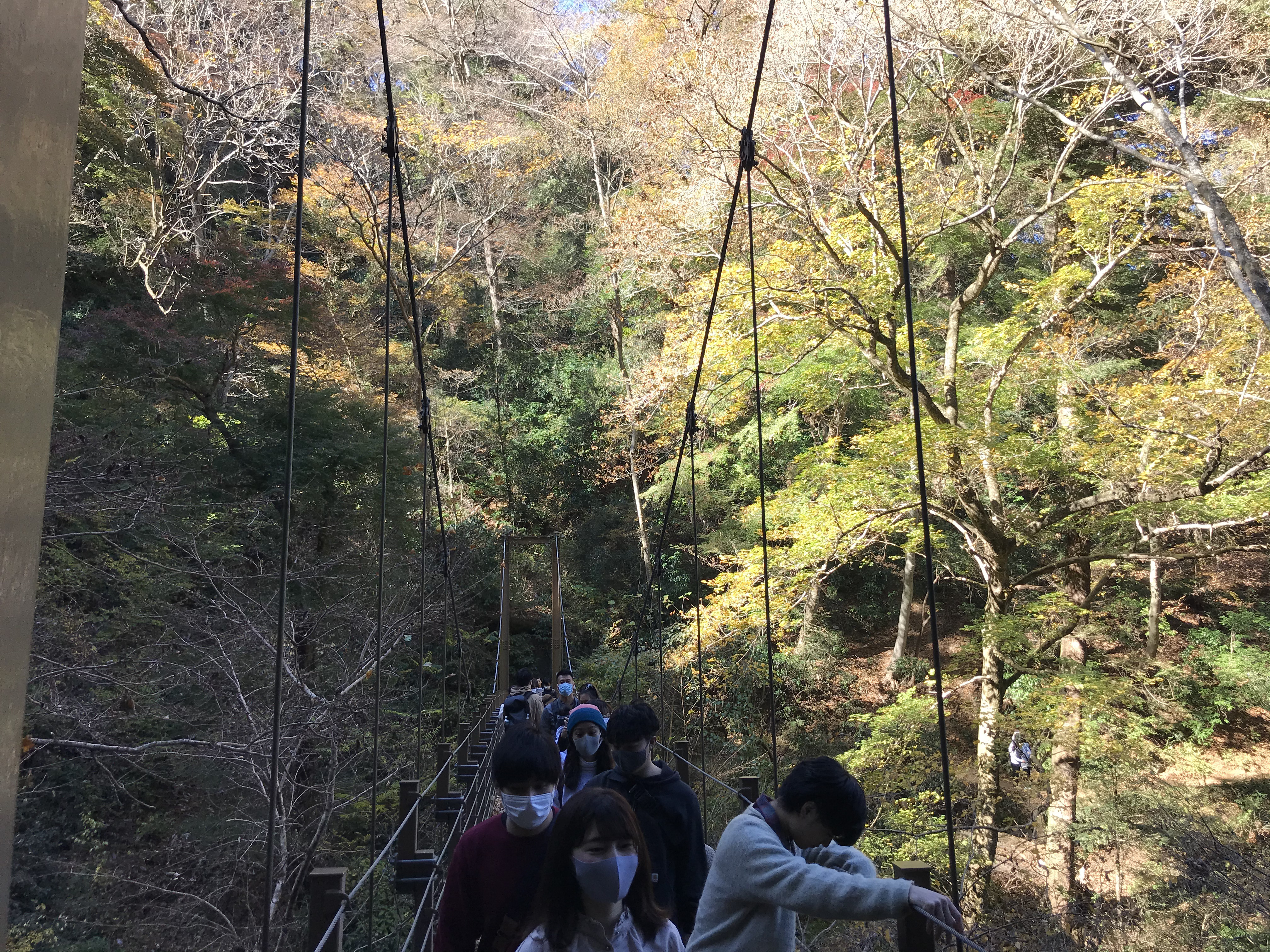 타카오산풍경_흔들다리