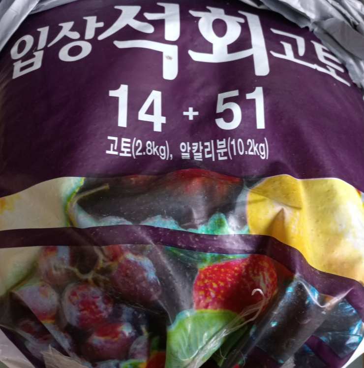석회 고토 포대 겉면 사진