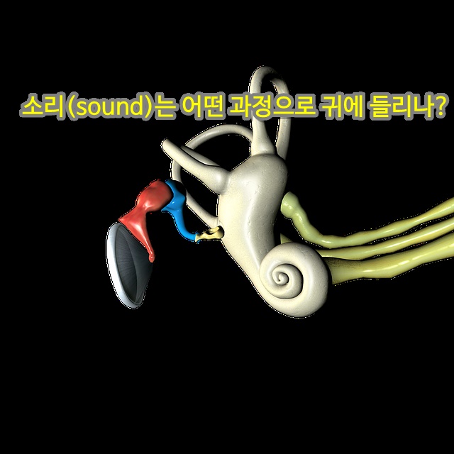  소리(sound)는 어떤 과정으로 귀에 들리나?