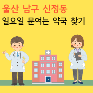 울산 신정동 일요일 문여는 약국 찾기