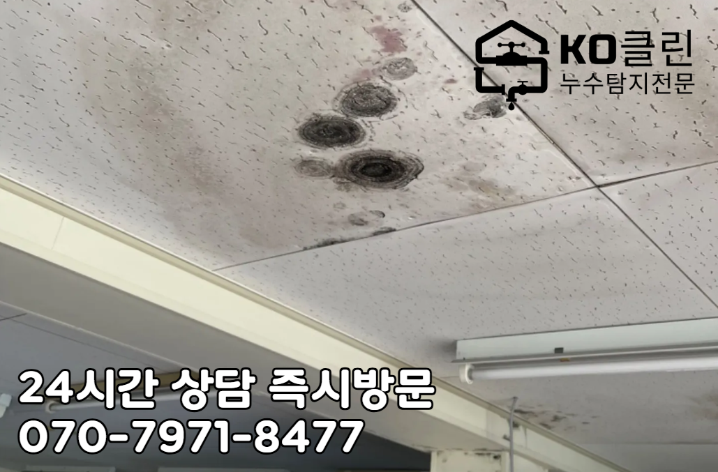 일산 백석동 누수 탐지2