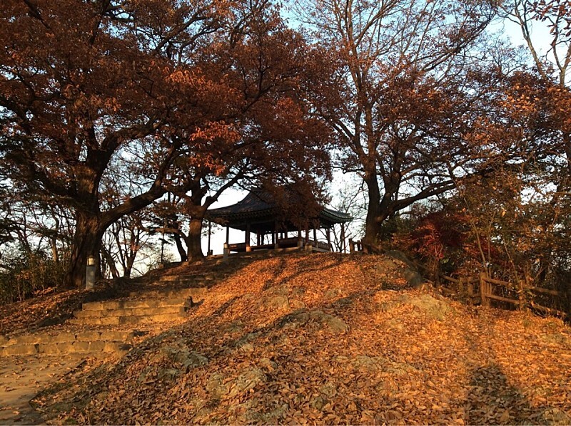  부여 수북정과 백마강