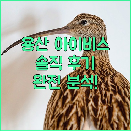 서울 용산 호텔 완전 분석! Ibis