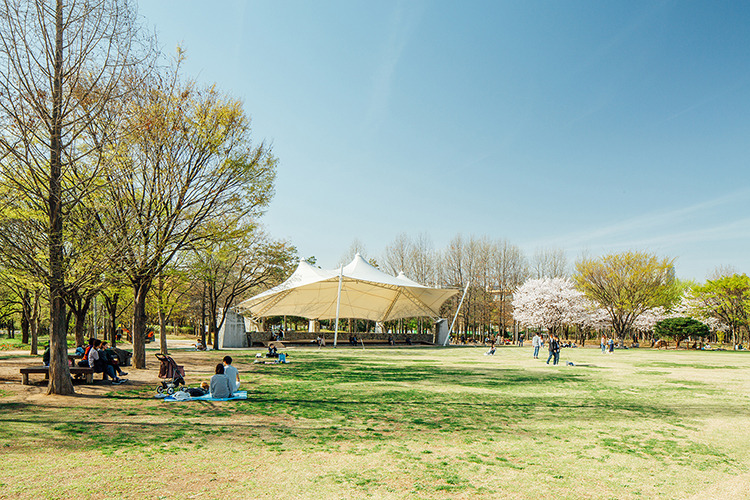 서울숲
