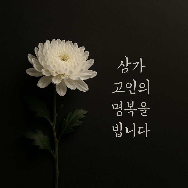 조문 위로 문자 이미지