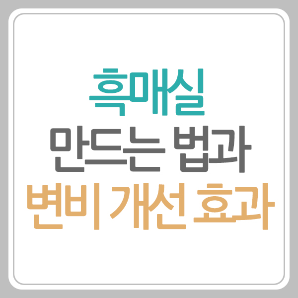 흑매실 만드는 법