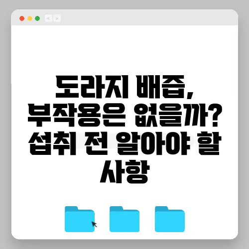 도라지 배즙, 부작용은 없을까? 섭취 전 알아야 할 사항