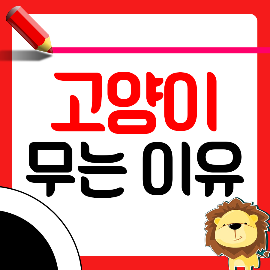 집사라면 궁금한 고양이 무는 이유와 훈련 방법1