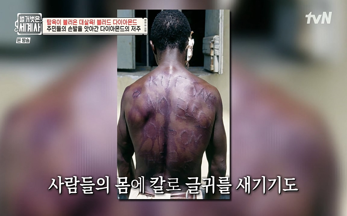 벌거벗은 세계사.E62.220831p-NEXT.mp4_20220905_202345.700.jpg