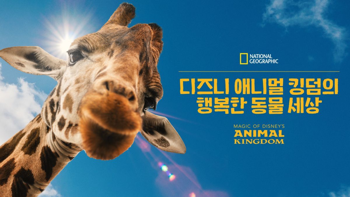 디즈니플러스의 디즈니 애니멀 킹덤의 행복한 동물 세상